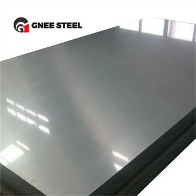 SS Plade 6mm 2507