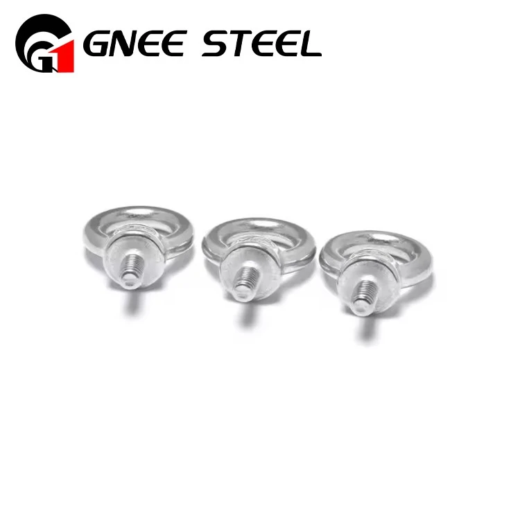 Stainless Steel Eye Bolt