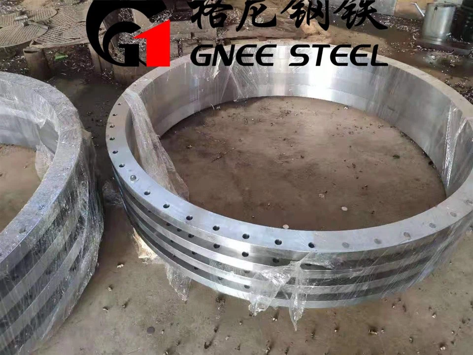 Stainless Steel Forged Pipe Fitting Flanges
